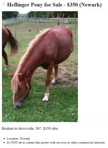 Been there done that type. . Ponies for sale on craigslist